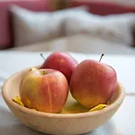 Konukevi Fridas Kleinarl