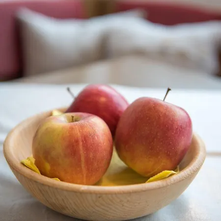 Penzion Fridas Kleinarl