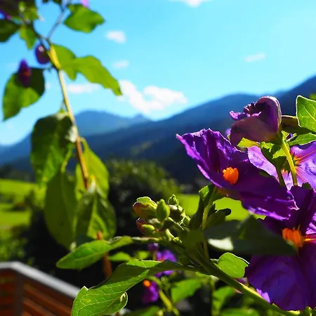 Fridas Penzion Kleinarl